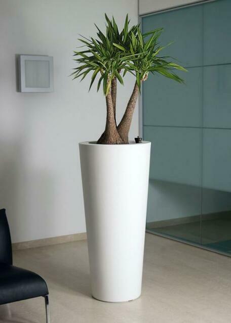 POTS DÉCOS RONDS ILIE