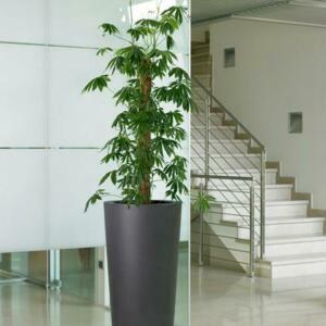 POTS DÉCOS RONDS ILIE