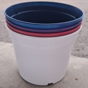 Série STANDARD La gamme pépinière polypro couleur