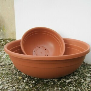 COUPES HORTICOLES Les coupes horticoles