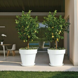 POTS DÉCOS RONDS MITU PAC