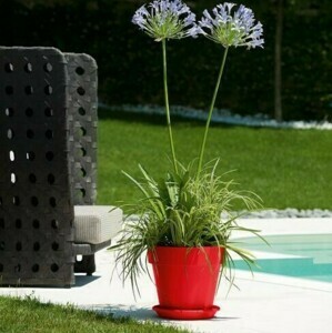 POTS DÉCOS RONDS MITU PAC