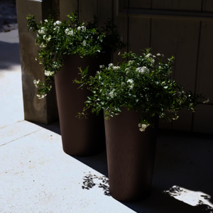 POTS DÉCOS RONDS TUIT RAW
