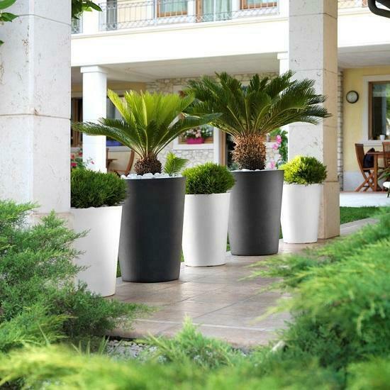 POTS DÉCOS RONDS ZAMORA